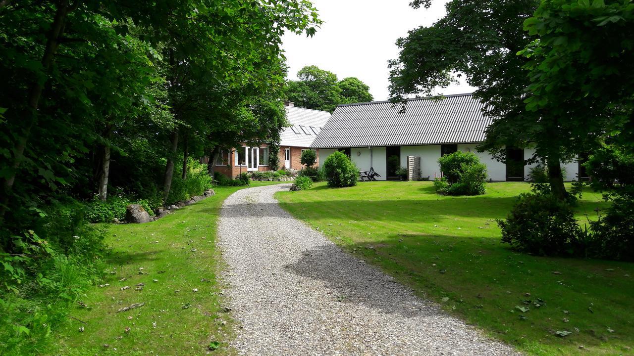 Lyngbjerggaard Ferieboliger - B&B Fjerritslev Eksteriør billede